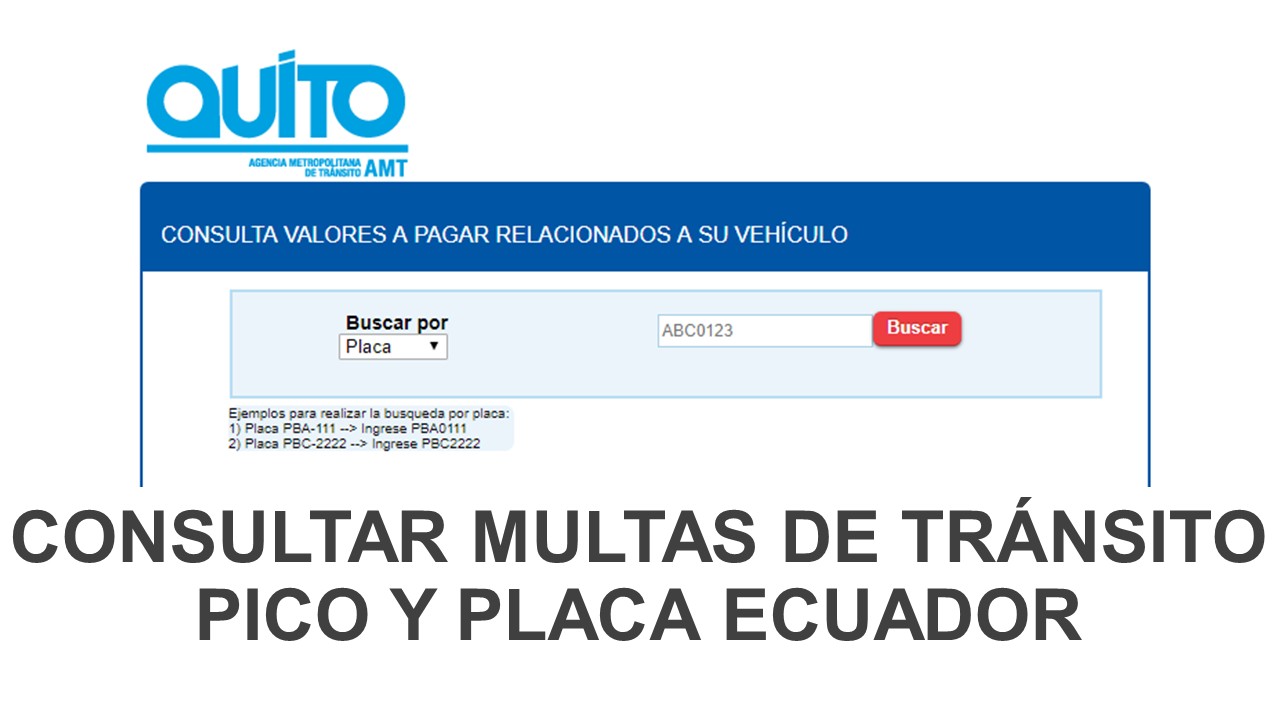Consultar Multas De Tránsito Pico y Placa Ecuador