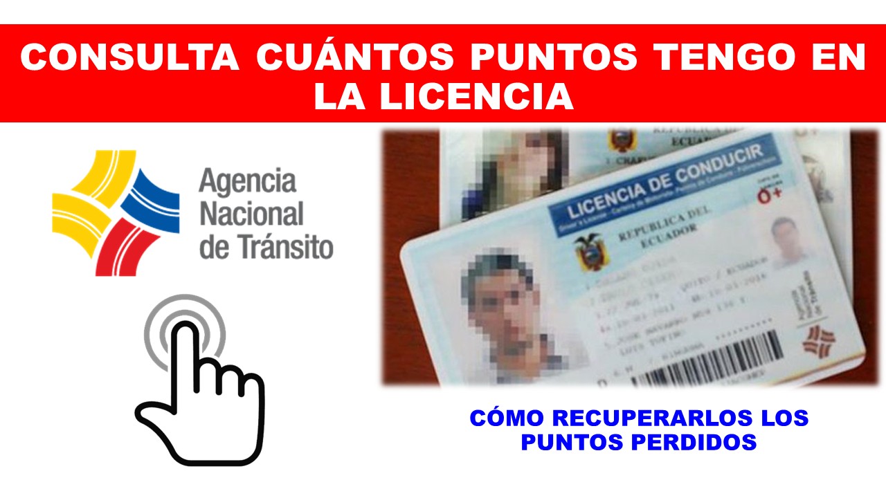 Consultar puntos de licencia de conducir ANT