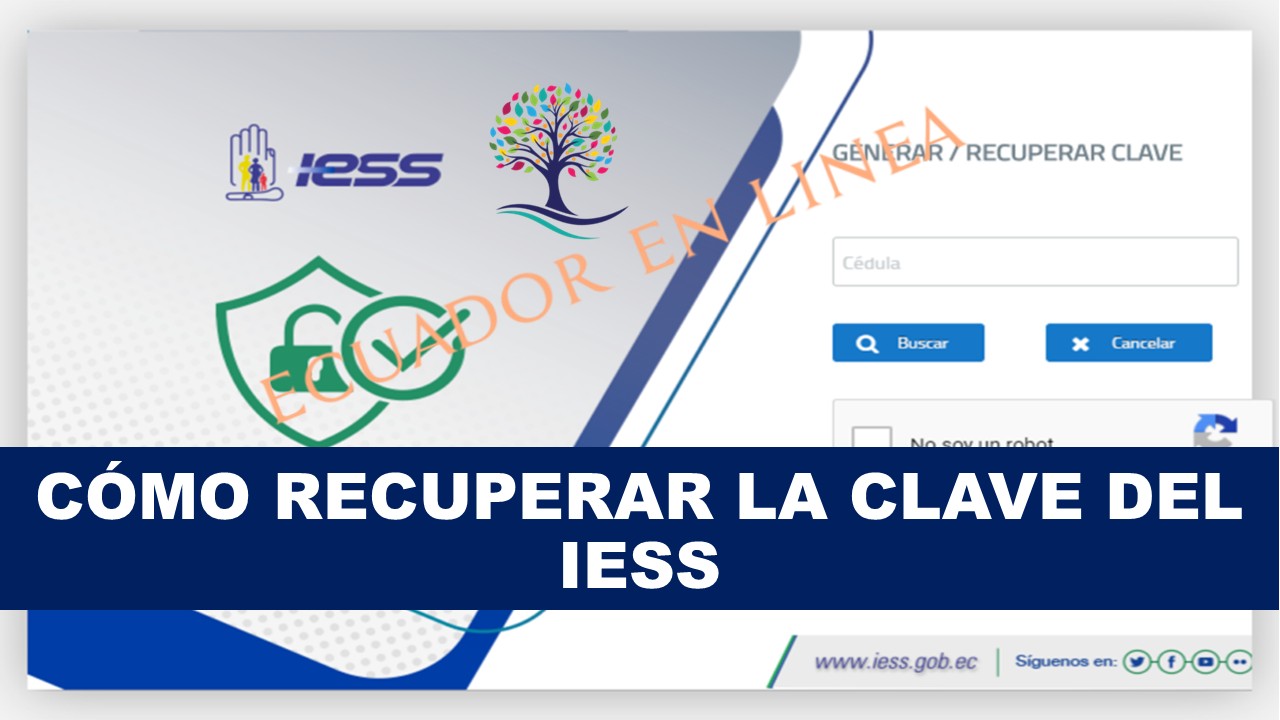 Cómo Recuperar La Clave Del IESS